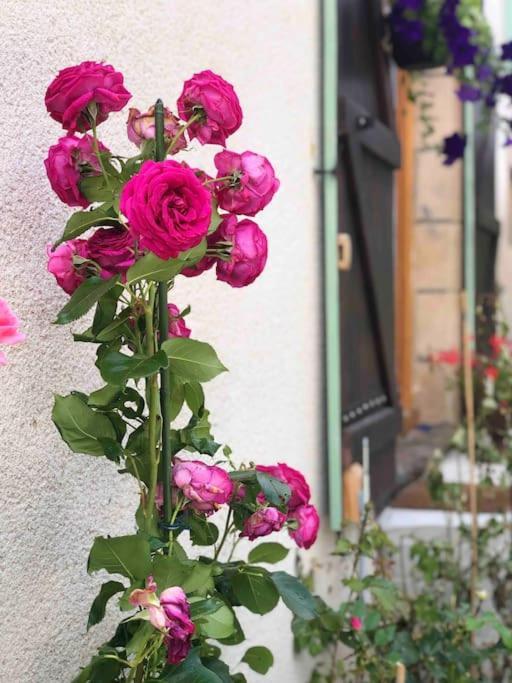 Gite "La Belle Vie" Chamblet Exterior foto